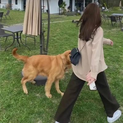 成长边缘