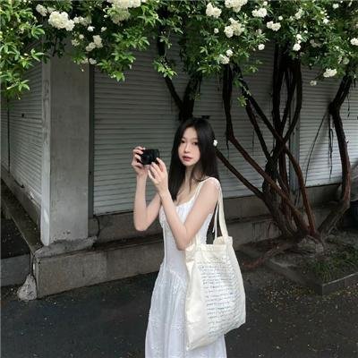 极地一年