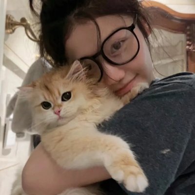 猫咪马汀
